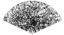 Survey slice