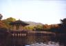 nara19.jpg