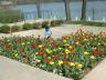 2004_0417_124832AA.JPG