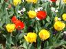 2004_0417_125110AA.JPG