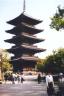 toji8.jpg