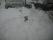 DSCF1808.JPG