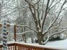 2003_0215_124915AA.JPG