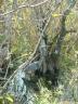 2003_1226_111950AA.JPG