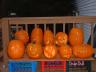 2003_1026_165241AA.JPG